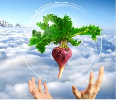 1420745285458201501081425377_32990