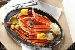 150210115037836-600x400