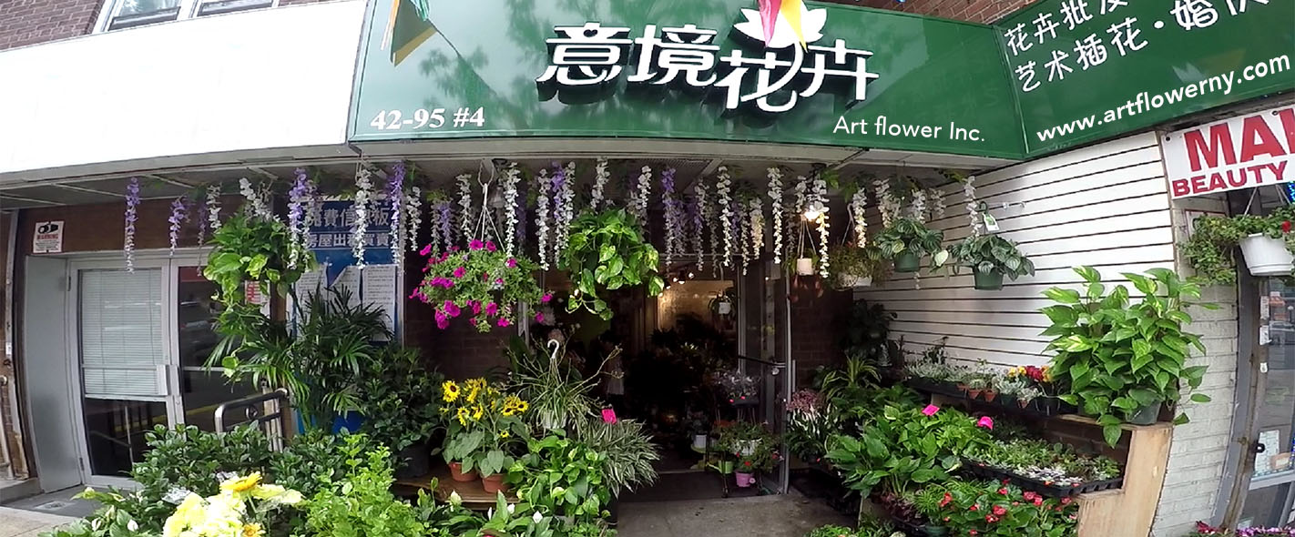 纽约唐人街花店