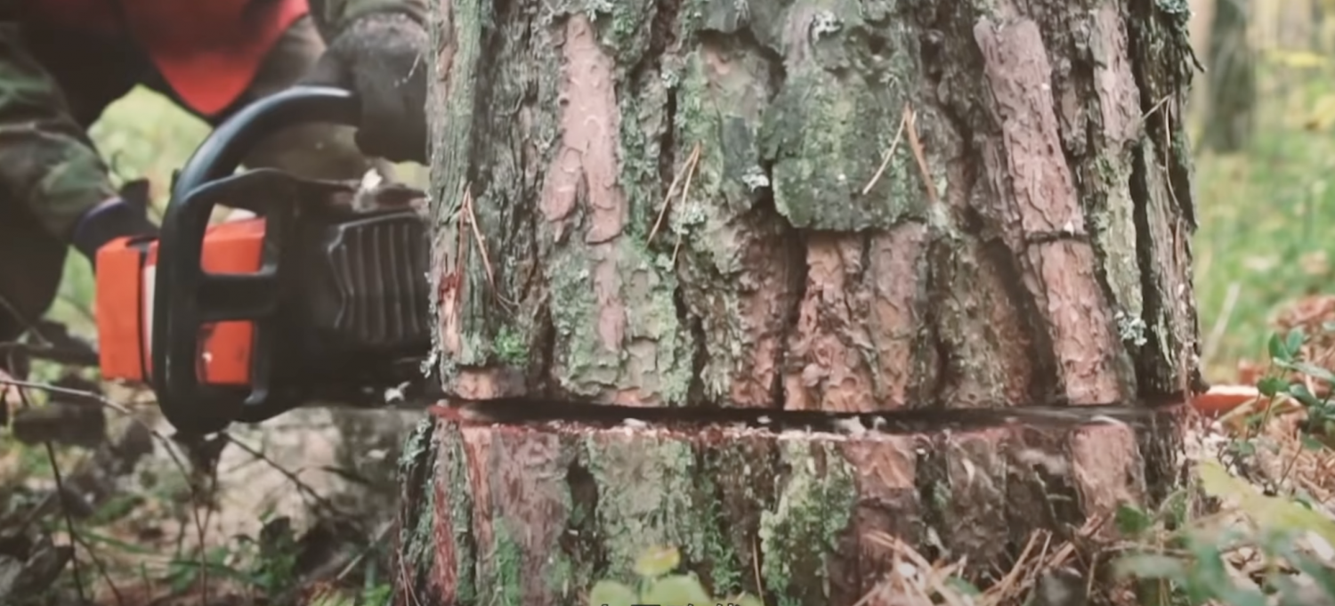 纽约砍树服务公司/砍树服务公司/专业砍树公司/新园造景/旧院翻新