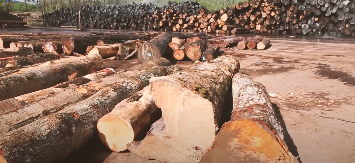 纽约砍树服务公司/砍树服务公司/专业砍树公司/新园造景/旧院翻新