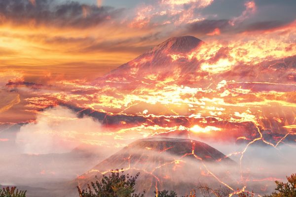 天灾导致合同违约 怎么办?