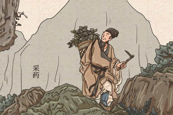深山老林里采药