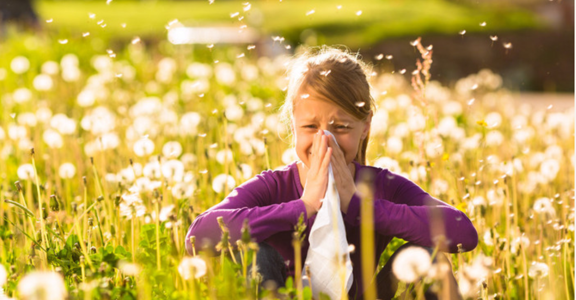 鼻塞 咳嗽 眼睛肿花粉过敏怎么缓解 花粉过敏症状起因治疗花粉症花粉热 金牌资讯网