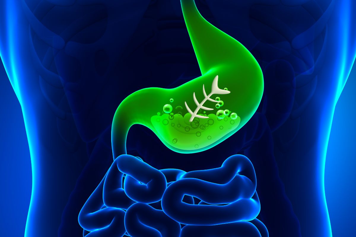 肠胃 胃肠 胃部不适 胃不好