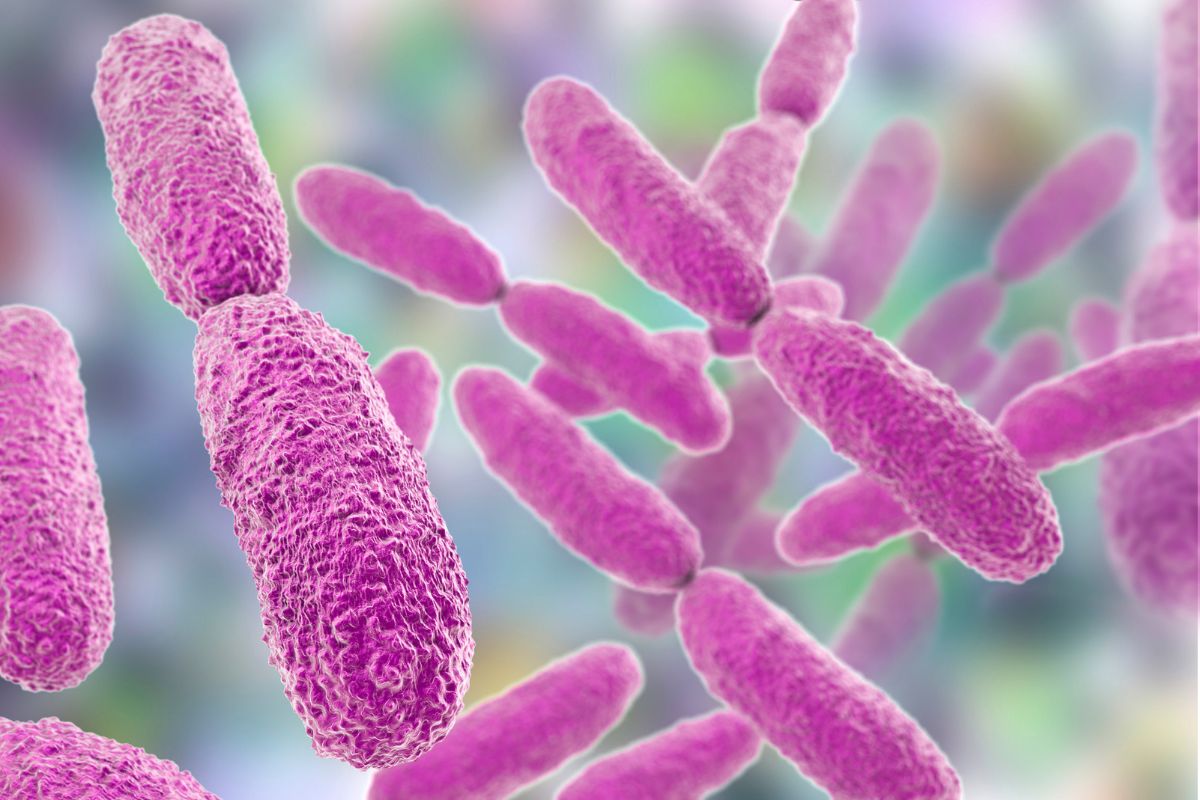 腹泻怎么办 原因