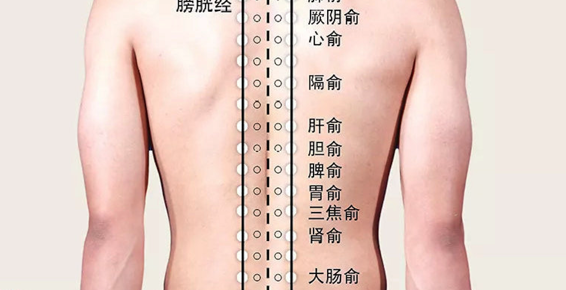 大肠俞穴：缓解腰痛与便秘