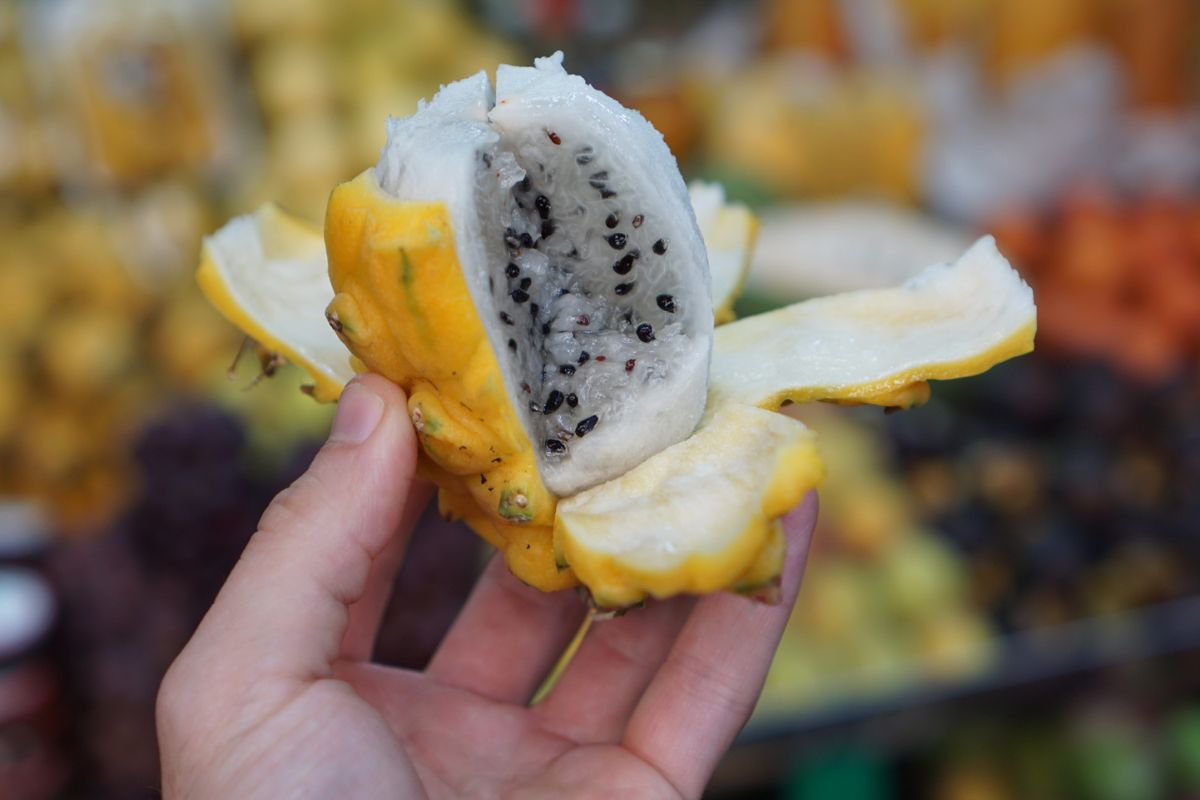 益生菌 便秘 膳食纤维