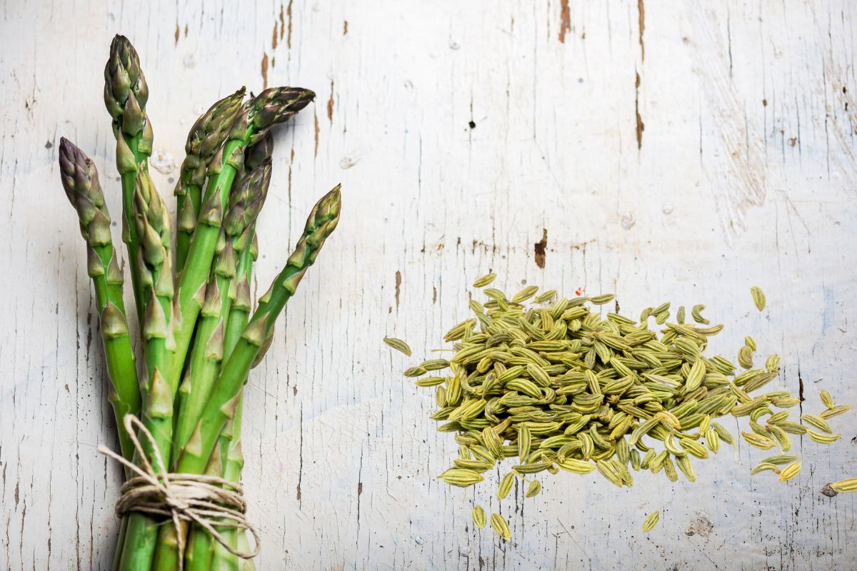 胃胀气解决方法