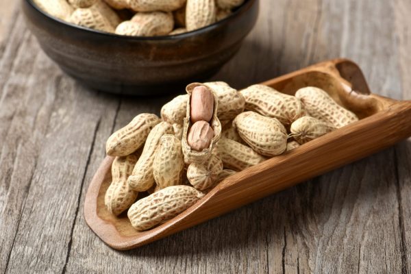 花生,长寿,延年益寿,慢性病,心血管疾病,糖尿病,肥胖,胆固醇,健康