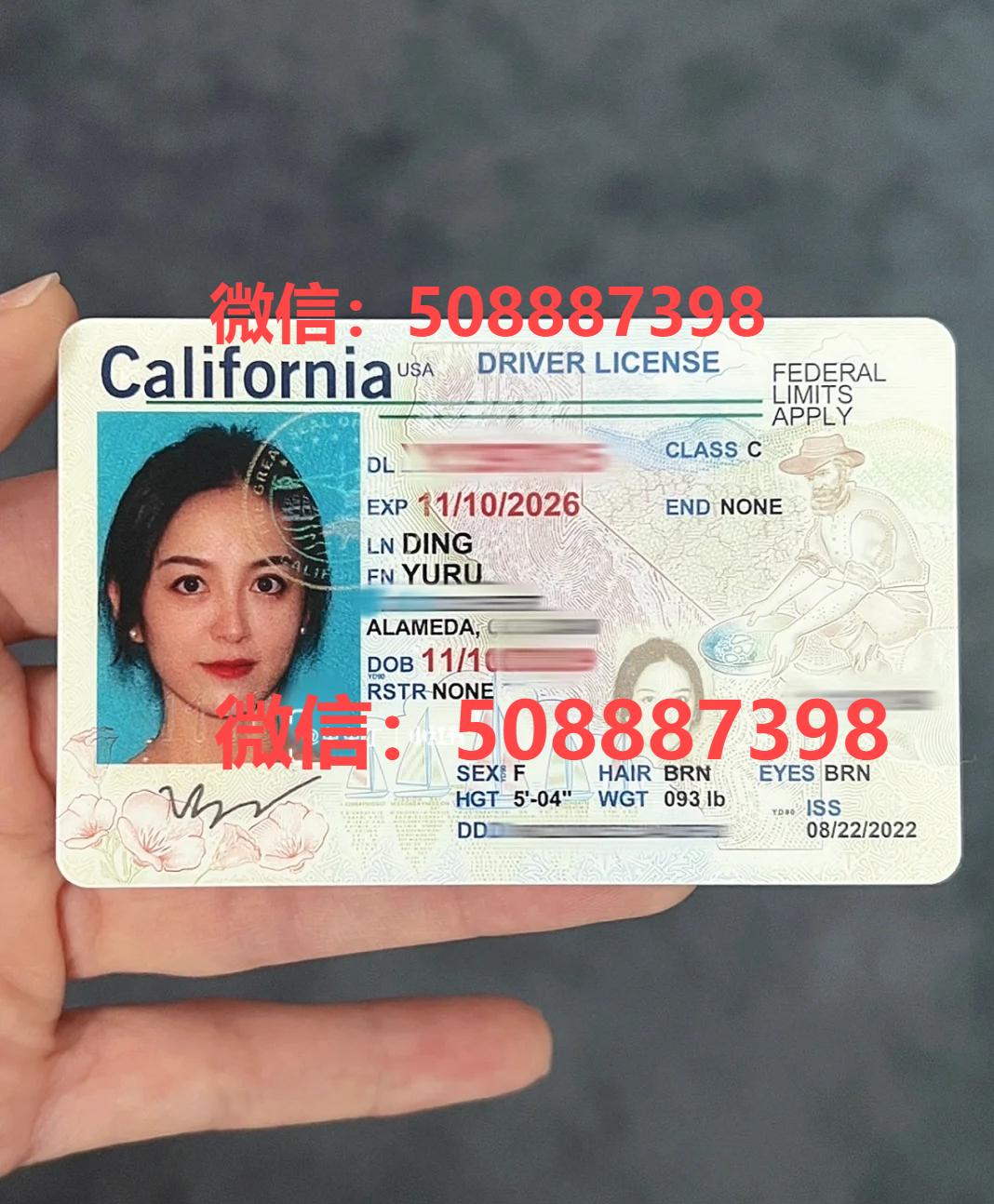 买美国ID图片【微信:508887398】加州纽约驾照图片样本、国内专业制作美国假ID、办理假美国驾照、哪里有美国驾照个人信息出售– 金牌资讯网