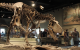 罕见！纽约苏富比本月底拍卖7600万年前恐龙化石
